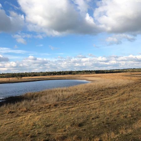 City Apparte Exklusiv - Direkt Am Antonius-Hospital - Stilvoll Wohnen Im Herzen Von Gronau Gronau  Esterno foto