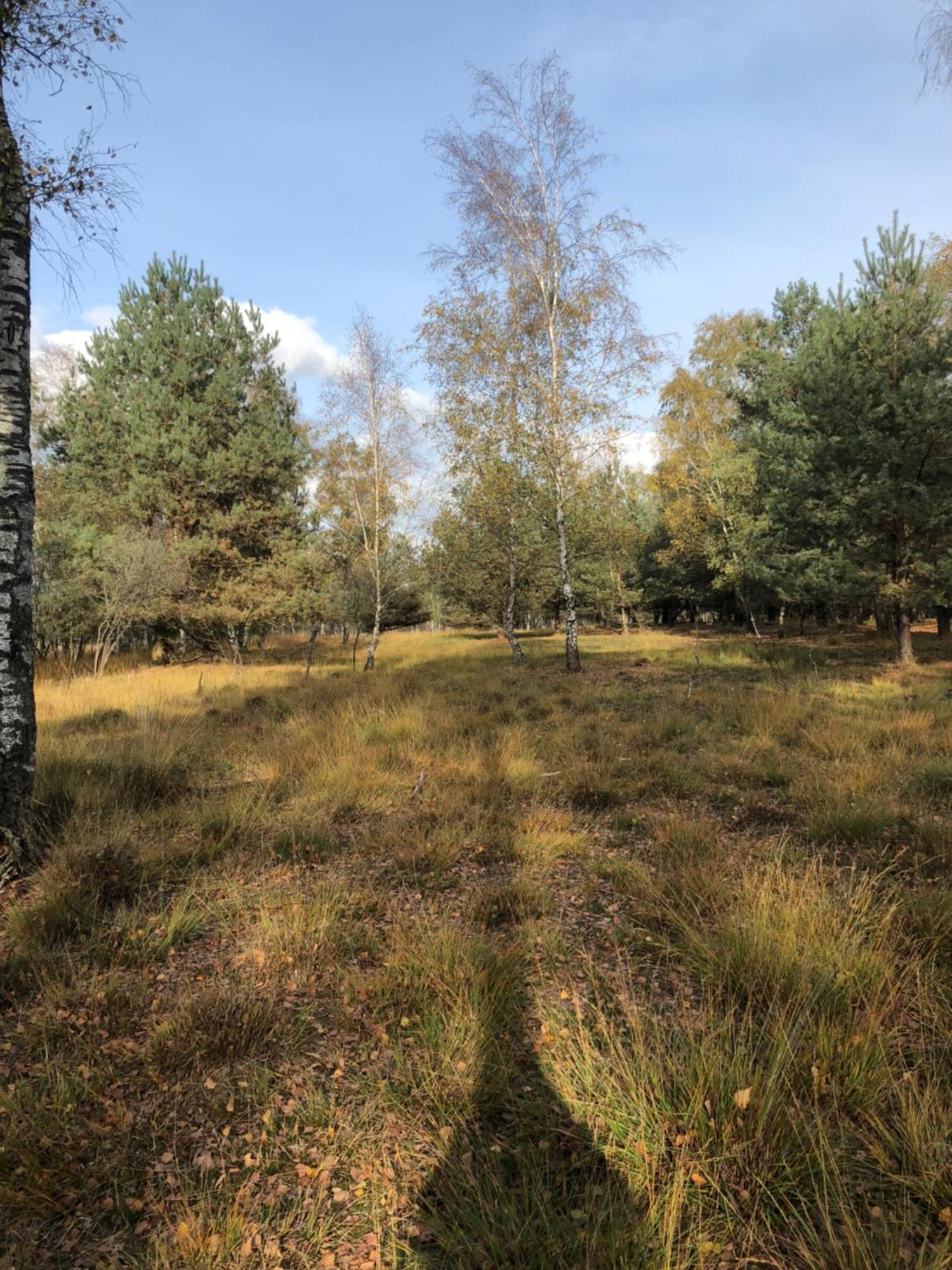 City Apparte Exklusiv - Direkt Am Antonius-Hospital - Stilvoll Wohnen Im Herzen Von Gronau Gronau  Esterno foto